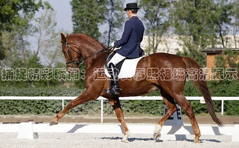 耀世游戏平台官网入口